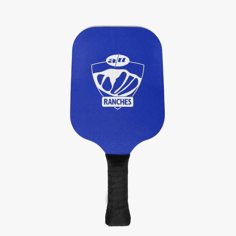 Pickleball Set